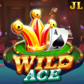 Wild Ace slot at Arionplay Casino